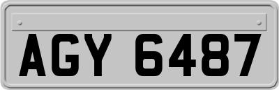 AGY6487