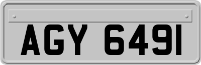 AGY6491