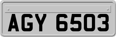 AGY6503