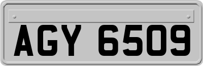 AGY6509