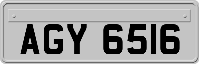 AGY6516