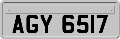 AGY6517