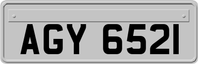 AGY6521