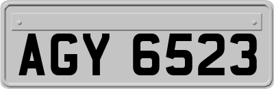 AGY6523