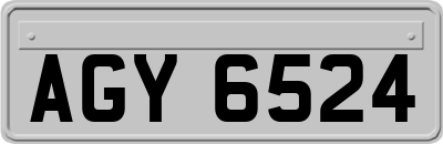 AGY6524