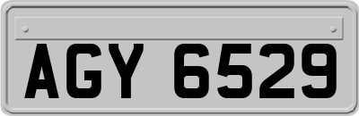 AGY6529
