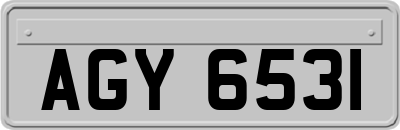 AGY6531