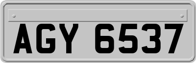 AGY6537