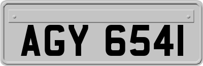 AGY6541