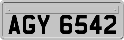 AGY6542