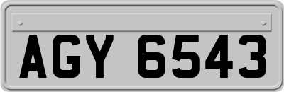 AGY6543