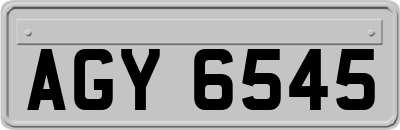AGY6545