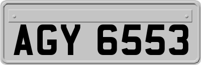 AGY6553