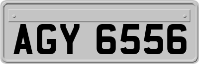 AGY6556