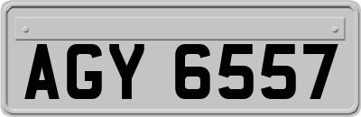 AGY6557