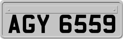 AGY6559