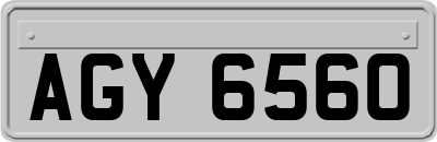 AGY6560