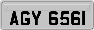 AGY6561