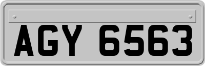 AGY6563