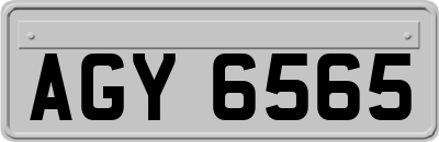 AGY6565