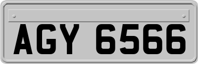 AGY6566