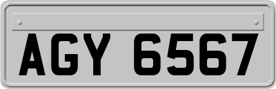 AGY6567