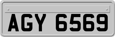 AGY6569