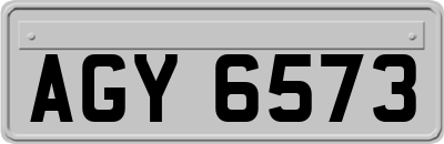 AGY6573