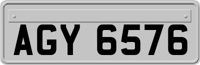 AGY6576