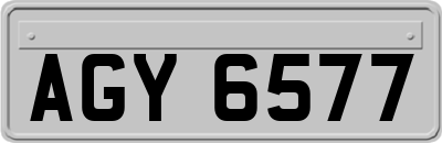 AGY6577