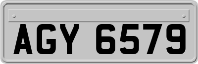 AGY6579