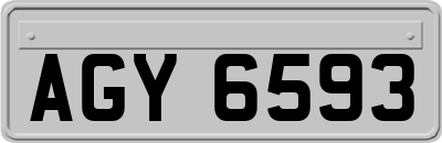 AGY6593