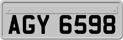 AGY6598