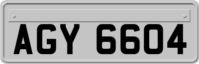 AGY6604