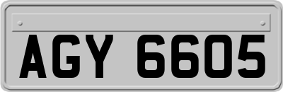 AGY6605