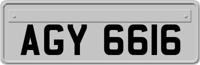 AGY6616