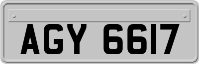 AGY6617