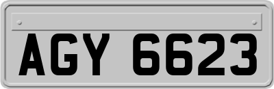 AGY6623