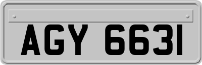 AGY6631