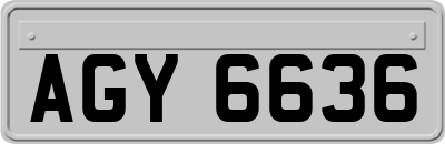 AGY6636