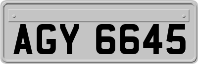 AGY6645