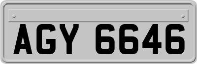 AGY6646