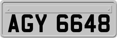 AGY6648