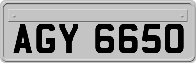 AGY6650