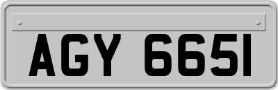 AGY6651