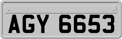 AGY6653