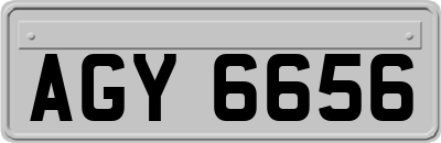 AGY6656