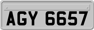 AGY6657