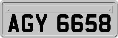 AGY6658
