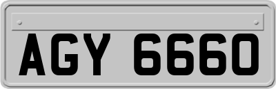 AGY6660